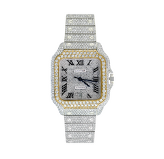 Cartier Santos XL - AM