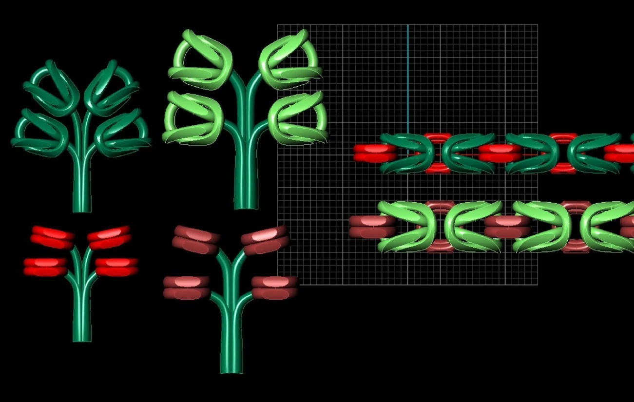 CAD overview comparing component layouts and assembled chain links